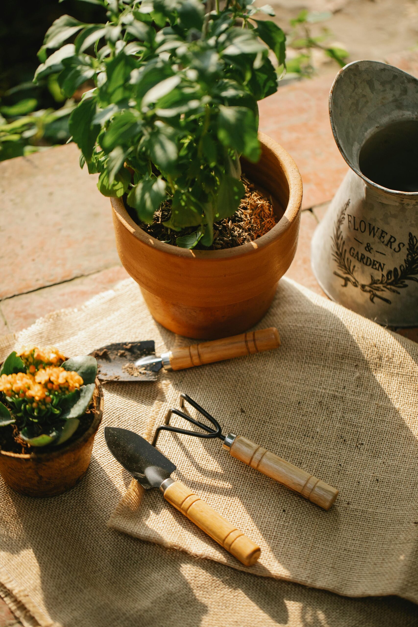 Rustic gardening tools and potted plants arranged on a burlap surface under sunlight.