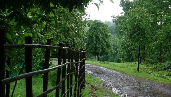 parijat  weekends slider